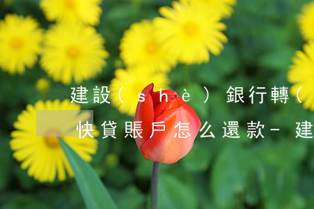 建設(shè)銀行轉(zhuǎn)賬的快貸賬戶怎么還款-建設(shè)銀行轉(zhuǎn)賬的快貸賬戶怎么還款的