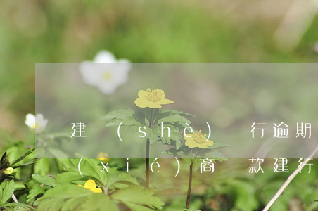 建設(shè)銀行逾期1個(gè)月協(xié)商還款(建行超過(guò)90天協(xié)商還款)