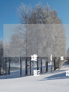 建設(shè)銀行逾期一天還款對信用有影響嗎（建行信用卡逾期8天還款影響嗎）
