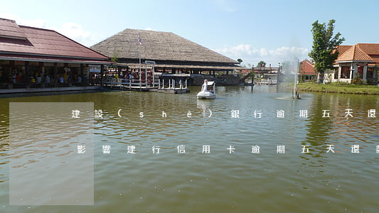 建設(shè)銀行逾期五天還款會不會有影響（建行信用卡逾期五天還款規(guī)定）