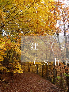 建設(shè)銀行逾期信息，警惕！你的建設(shè)銀行信用卡逾期信息可能已經(jīng)被記錄
