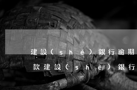 建設(shè)銀行逾期協(xié)商還款(建設(shè)銀行協(xié)商還款成功案例)