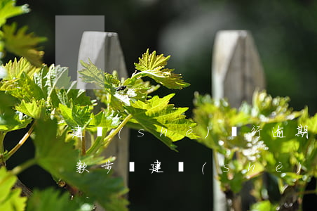 建設(shè)銀行逾期協(xié)商還款步驟(建設(shè)銀行協(xié)商還款成功案例)