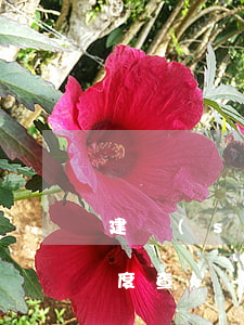 建設(shè)銀行逾期申訴進(jìn)度查詢-建設(shè)銀行逾期申訴進(jìn)度查詢系統(tǒng)