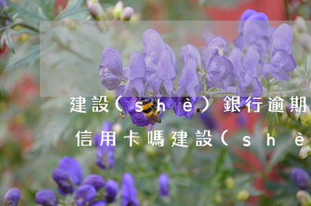 建設(shè)銀行逾期過,以后還可以辦理信用卡嗎（建設(shè)銀行信用卡逾期半個月了）