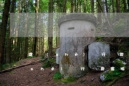 建設(shè)銀行還款客服電話-建設(shè)銀行還款客服電話怎么操作
