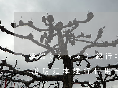建設(shè)銀行非惡意逾期信用卡還款證明范本（建行信用卡逾期證明章）