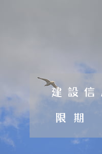 建設信用卡可以逾期多久(建行 信用卡 逾期寬限期)