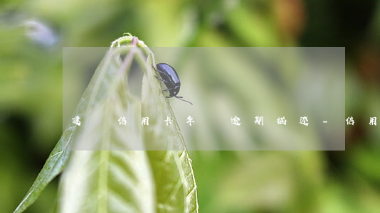 建設信用卡年費逾期描述-信用卡年費逾期
