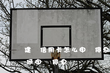 建設信用卡怎么申請停息掛賬上海-建行如何申請停息掛賬