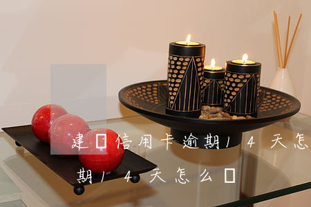 建設信用卡逾期14天怎么辦 建設信用卡逾期14天怎么辦
