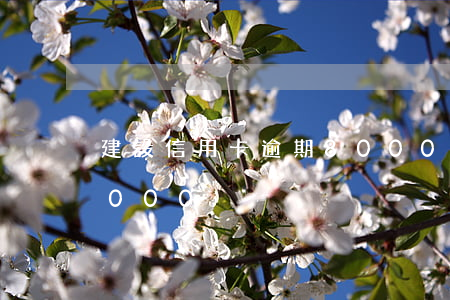 建設信用卡逾期8000(建設信用卡逾期8000)