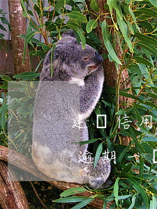 建設信用卡逾期一個月會怎么樣(建設信用卡逾期一個月會怎么樣)