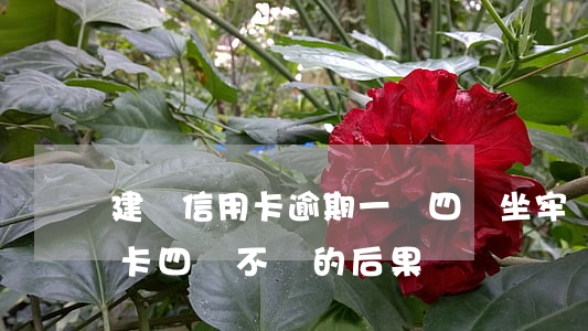 建設信用卡逾期一萬四會坐牢嗎(欠建設信用卡四萬不還的后果)