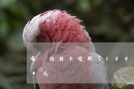 建設信用卡逾期了100(建設信用卡逾期了4天)