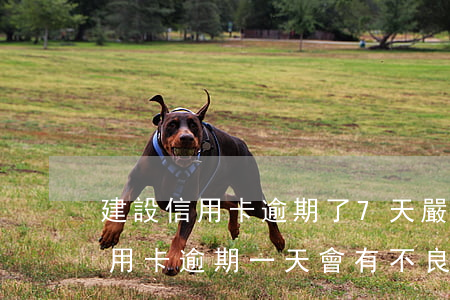 建設信用卡逾期了7天嚴重嗎(建設銀行的信用卡逾期一天會有不良記錄)