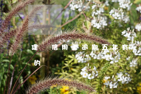 建設信用卡逾期五年(有沒有信用卡逾期五年的)