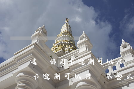 建設信用卡逾期可以只還本金么-建設信用卡逾期可以只還本金么嗎
