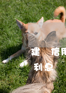建設信用卡逾期從儲蓄卡扣(建設銀行卡逾期利息)