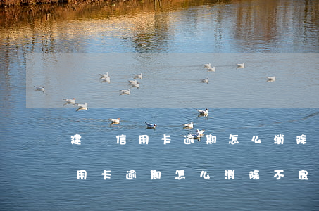 建設信用卡逾期怎么消除不良記錄-建設信用卡逾期怎么消除不良記錄信息