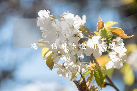 建設信用卡逾期提醒 建設信用卡逾期提醒