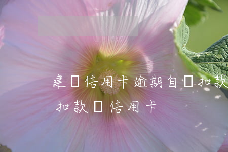 建設信用卡逾期自動扣款退回(建設銀行自動扣款還信用卡)