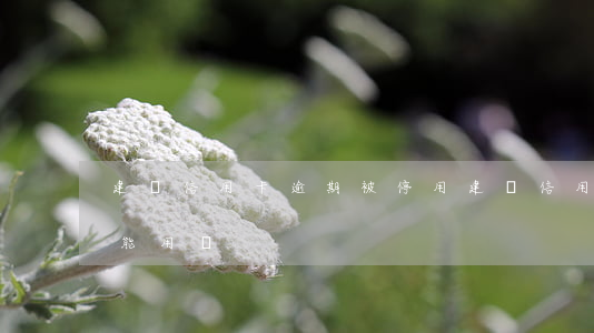 建設信用卡逾期被停用(建設信用逾期?？?還能用嗎)