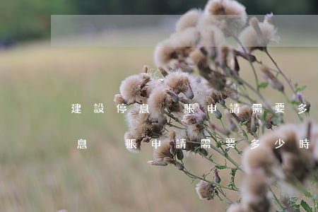 建設停息掛賬申請需要多少時間批-建設停息掛賬申請需要多少時間批復