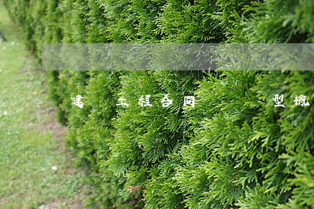 建設工程合同糾紛類型概述
