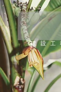 建設工程款受訴訟時效限制嗎