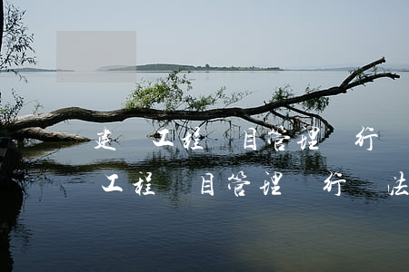 建設工程項目管理試行辦法有哪些問題（建設工程項目管理試行辦法中關于從業(yè)人員）
