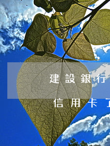 建設銀行信用卡不還有事沒(建行突然不能還信用卡了)