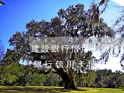 建設銀行信用卡個性化分期二次逾期-建設銀行信用卡個性化分期二次逾期怎么辦