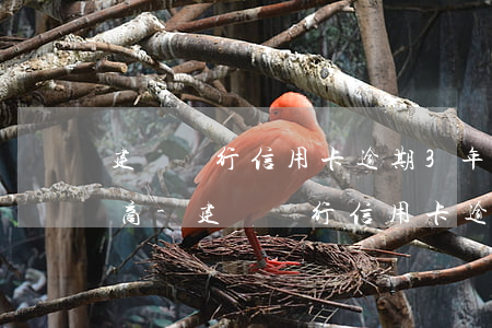 建設銀行信用卡逾期3年怎么協(xié)商-建設銀行信用卡逾期3年怎么協(xié)商還款
