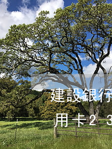 建設銀行信用卡逾期5700還款-建行信用卡23000逾期4個月