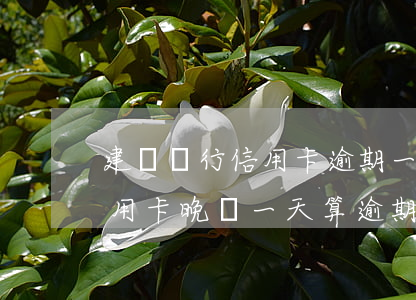 建設銀行信用卡逾期一天費用 建設銀行的信用卡晚還一天算逾期嗎