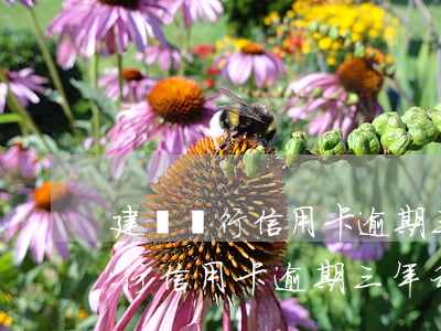 建設銀行信用卡逾期三年利息多少-建設銀行信用卡逾期三年利息多少錢