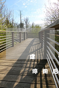 建設銀行信用卡逾期作廢(建行信用卡逾期被停用后無法恢復的后果)