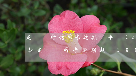 建設銀行信用卡逾期兩年協(xié)商還款(建設銀行卡逾期超過180天了還能協(xié)商分期還款嗎)