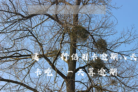 建設銀行信用卡逾期八天-建設銀行的信用卡晚還一天算逾期嗎