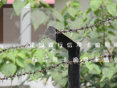 建設銀行信用卡逾期凍結如何解封-建設銀行信用卡逾期凍結如何解封賬戶