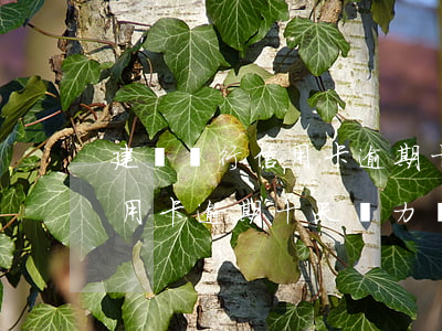 建設銀行信用卡逾期十天無力還(建設銀行信用卡逾期十天無力還款怎么辦)