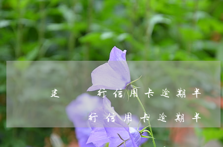 建設銀行信用卡逾期半個月多久能恢復-建設銀行信用卡逾期半個月多久能恢復額度