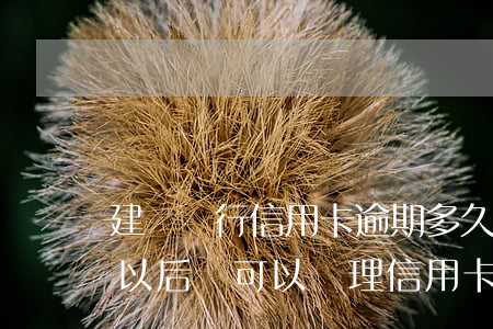 建設銀行信用卡逾期多久了(建設銀行逾期過,以后還可以辦理信用卡嗎)