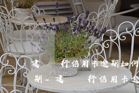 建設銀行信用卡逾期如何協(xié)商分期-建設銀行信用卡逾期如何協(xié)商分期還款