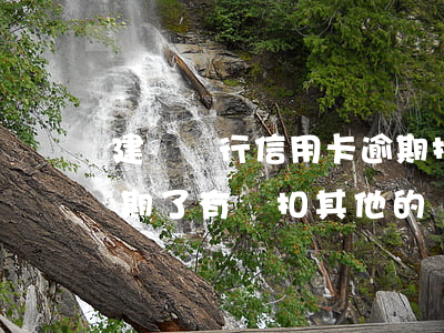 建設銀行信用卡逾期扣利息(建行的信用卡逾期了有權扣其他的銀行卡嗎)