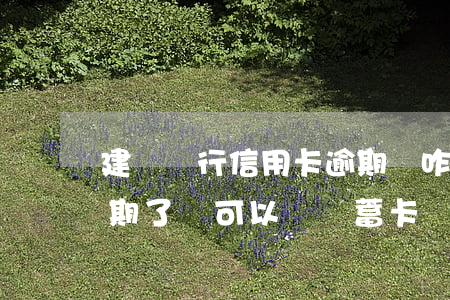 建設銀行信用卡逾期會咋樣(建行的信用卡逾期了,還可以辦儲蓄卡嗎?)