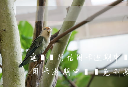 建設銀行信用卡逾期申請減免-建設銀行信用卡逾期申請減免利息