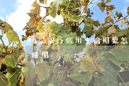 建設銀行信用卡逾期要怎么解凍(建行 信用卡 逾期)