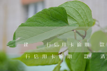 建設銀行信用卡逾期還款還清后果-建設銀行信用卡逾期還款還清后果是什么